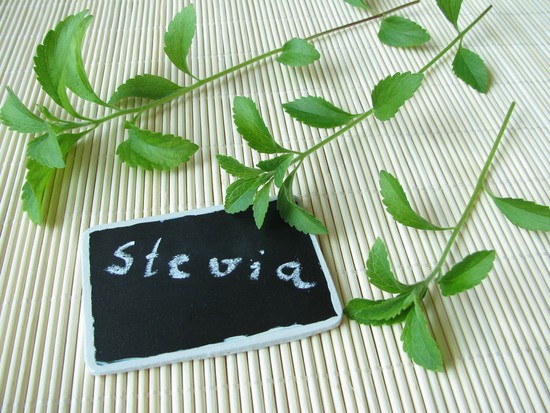 stewia